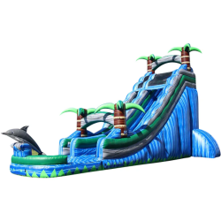 dolphin20splash202 1745970158 22 Ft Dolphin Splash