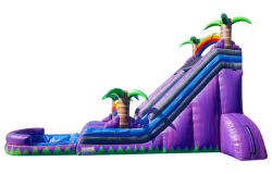 IMG 2476 1748819337 22 Ft Purple Paradise